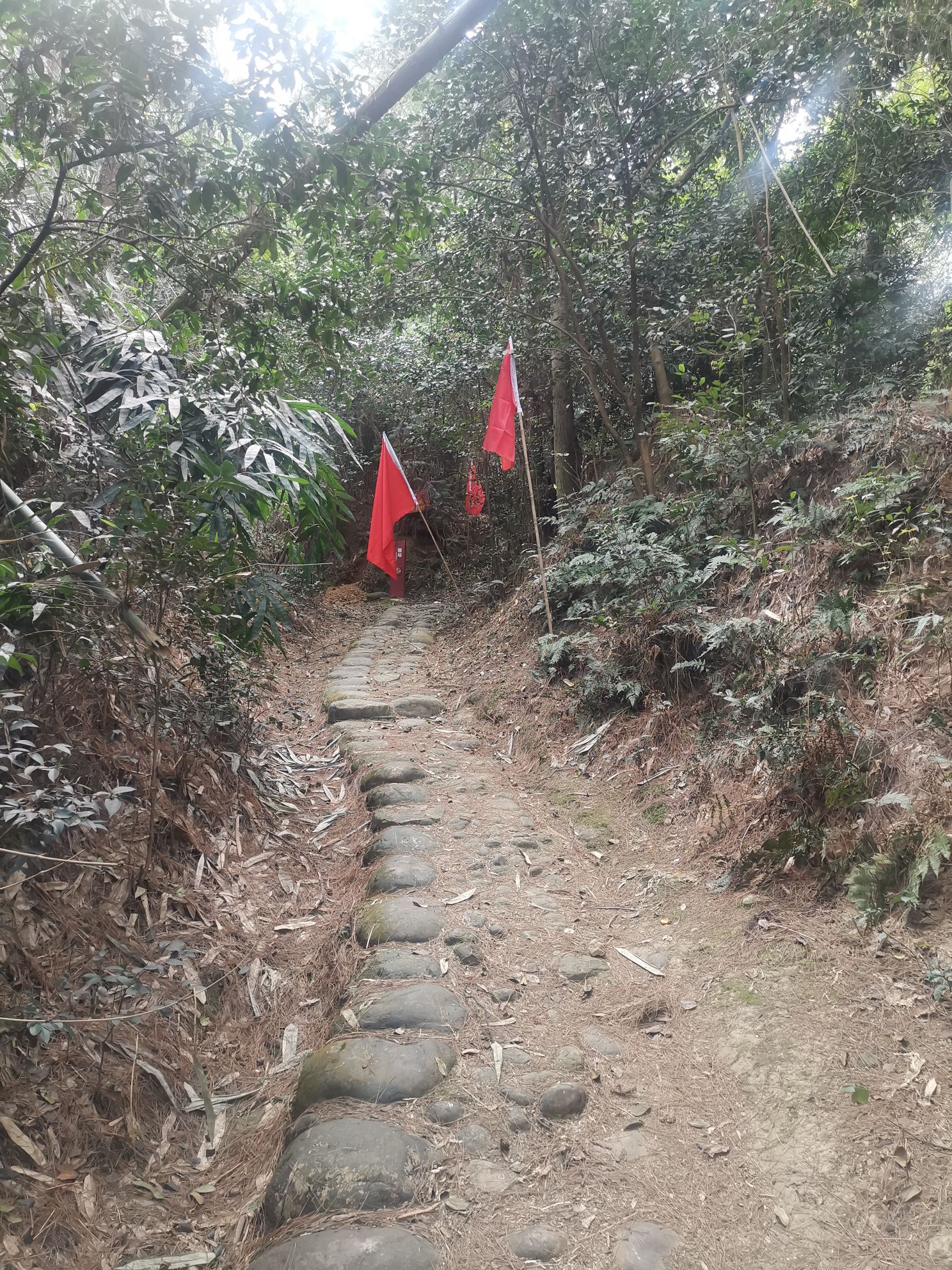 胡大林现场遗址