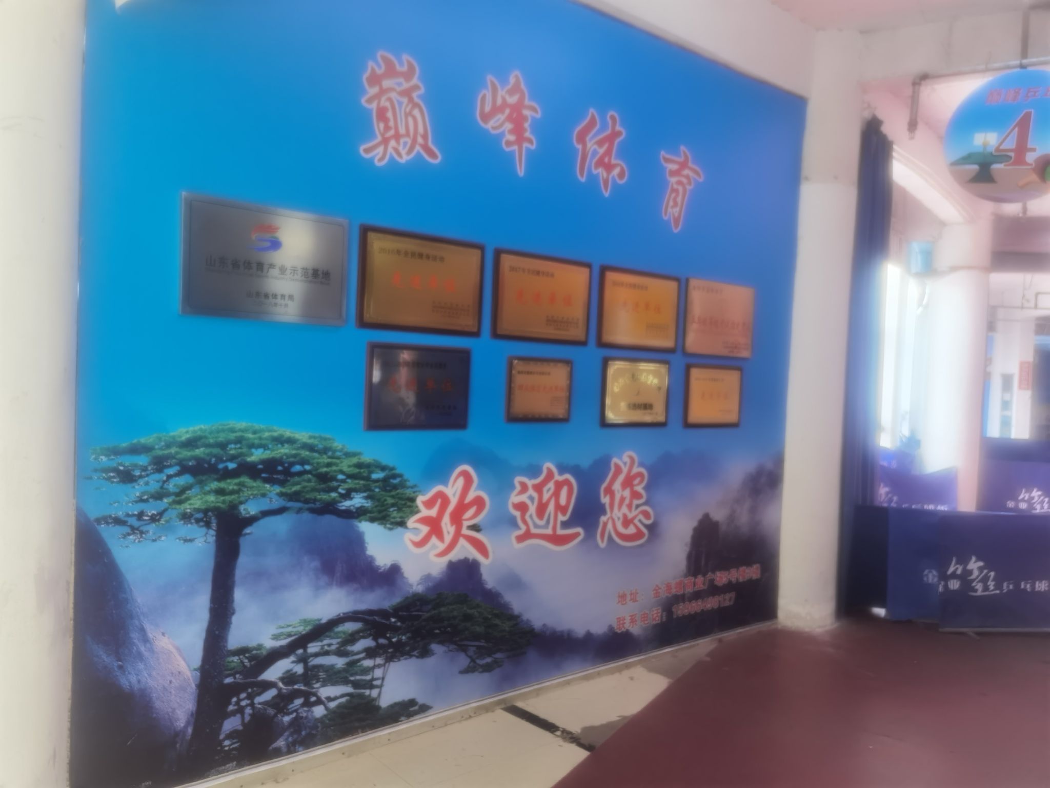 巅峰乒乓