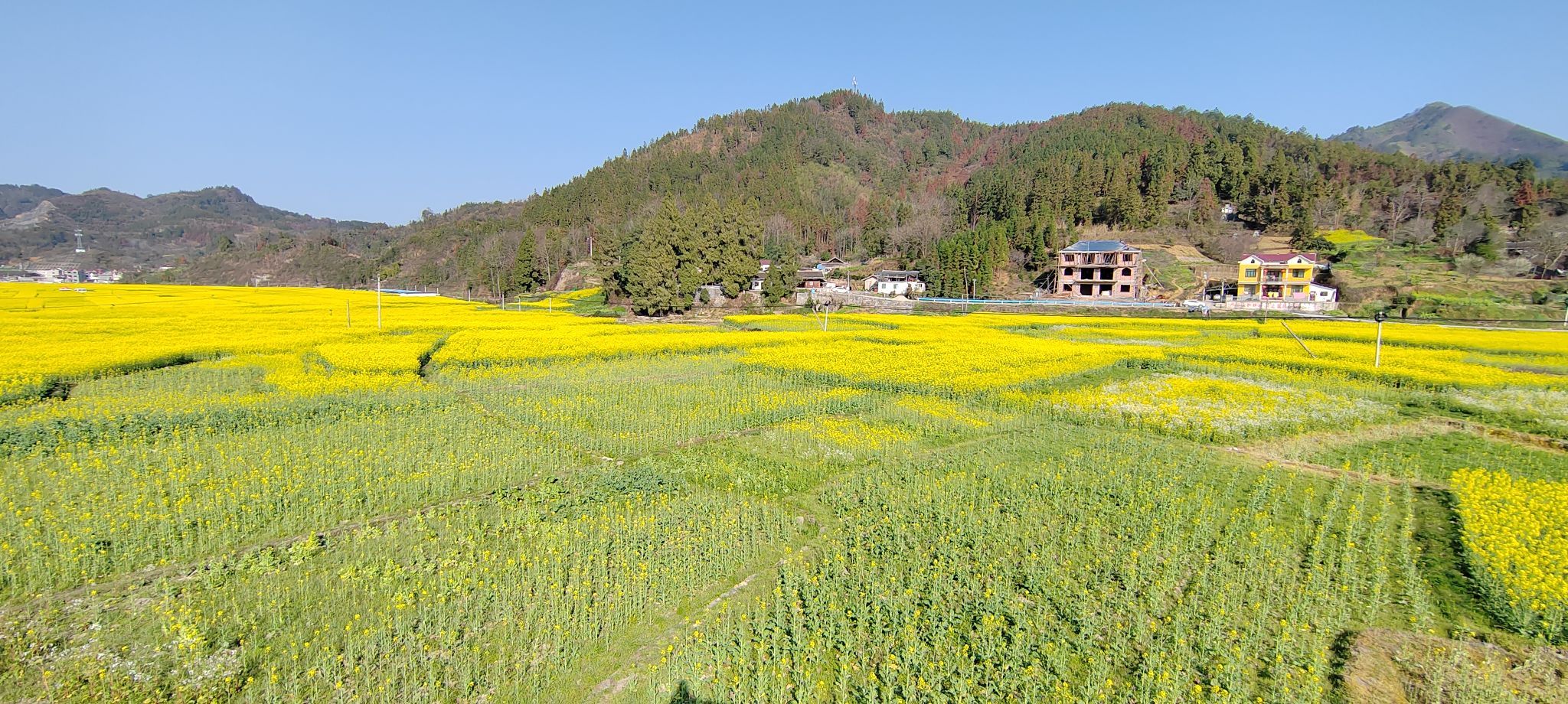 碧江区铜仁市