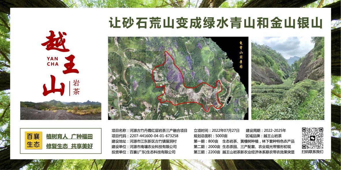 越王山岩茶