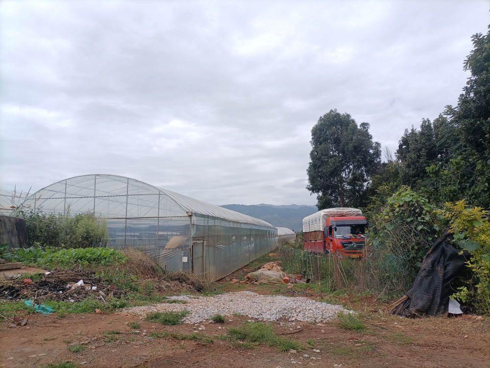 云南省昆明市嵩明县浩杨园艺花卉种植基地西侧200米