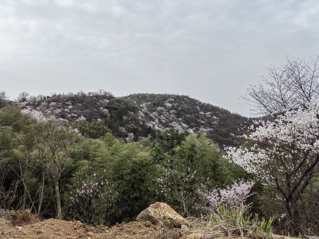 葛仙山