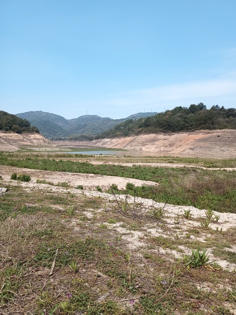 仰义水库