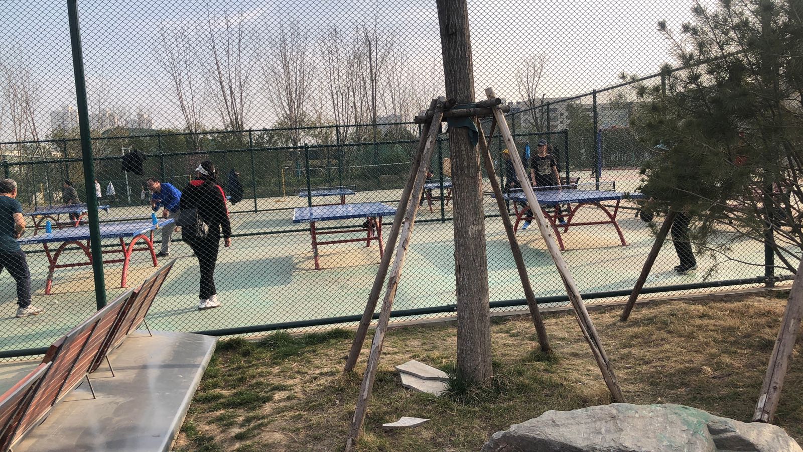 森林运动厂-乒乓球场