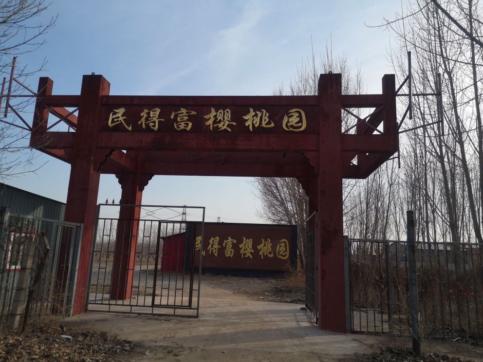 民得富樱桃园