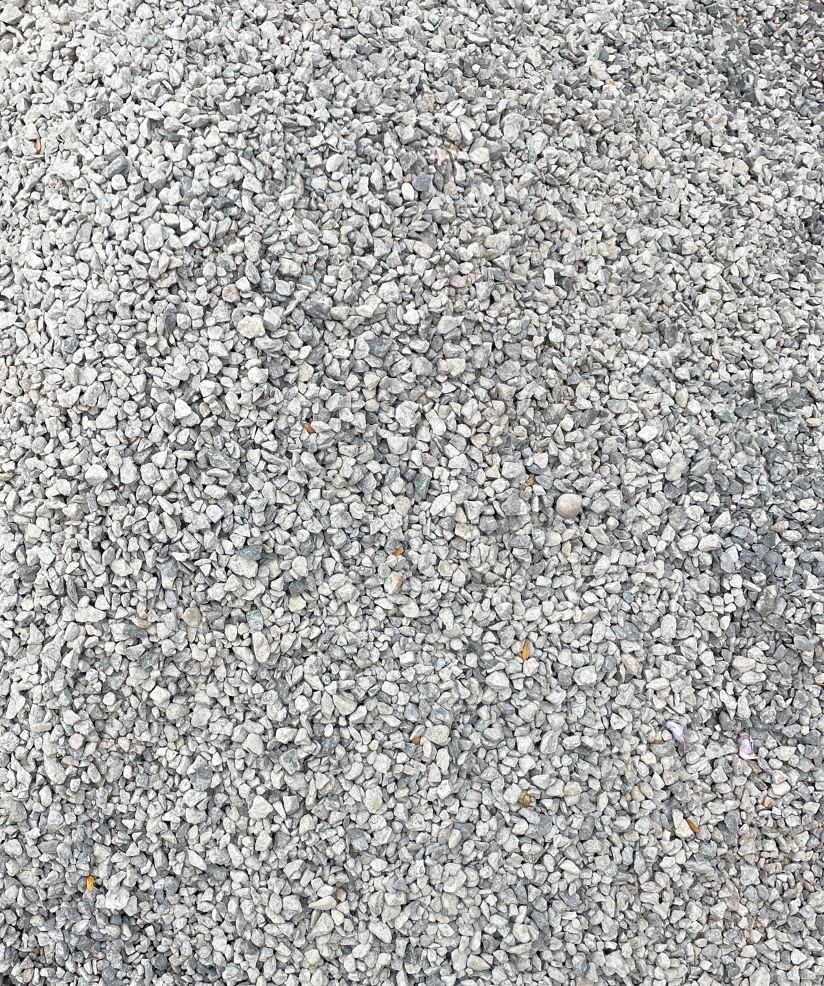 荷塘水泥建材批发