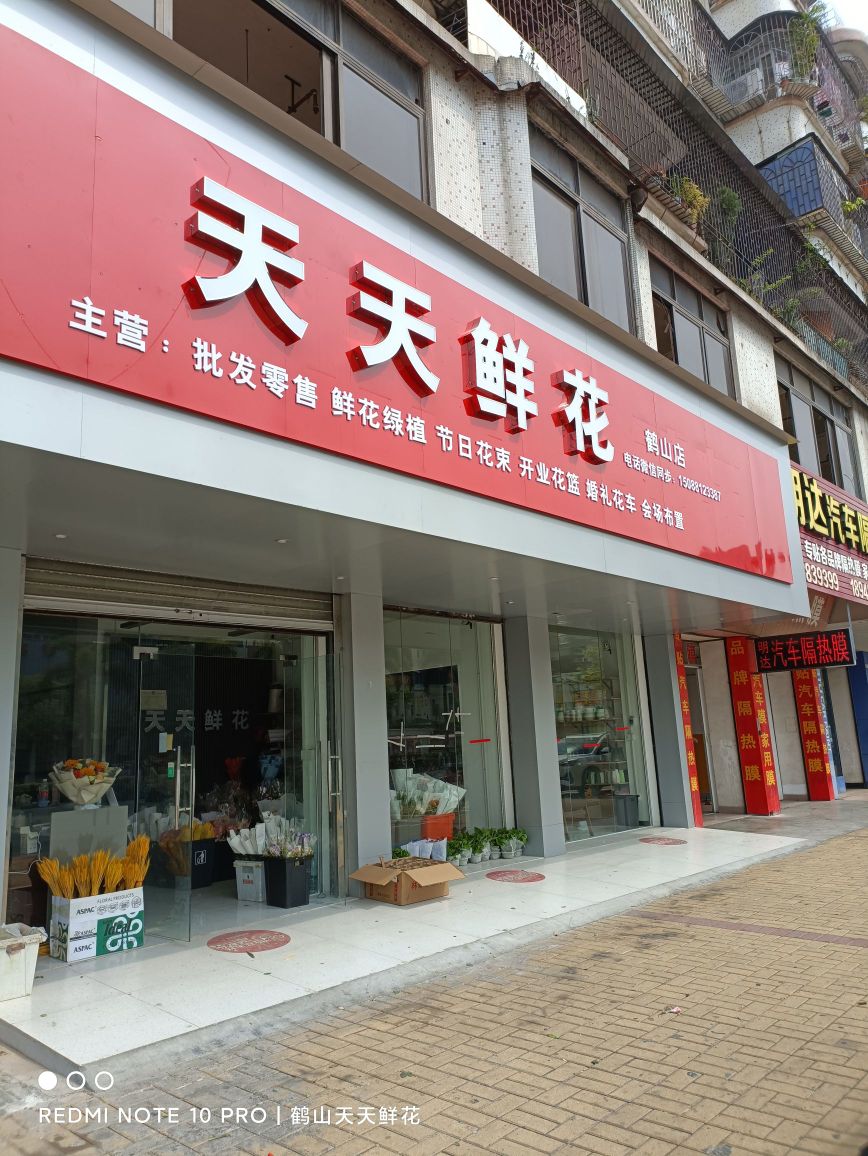 天天鲜花(人民东路店)