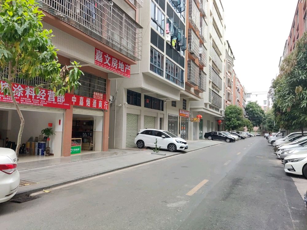 嘉文房地产