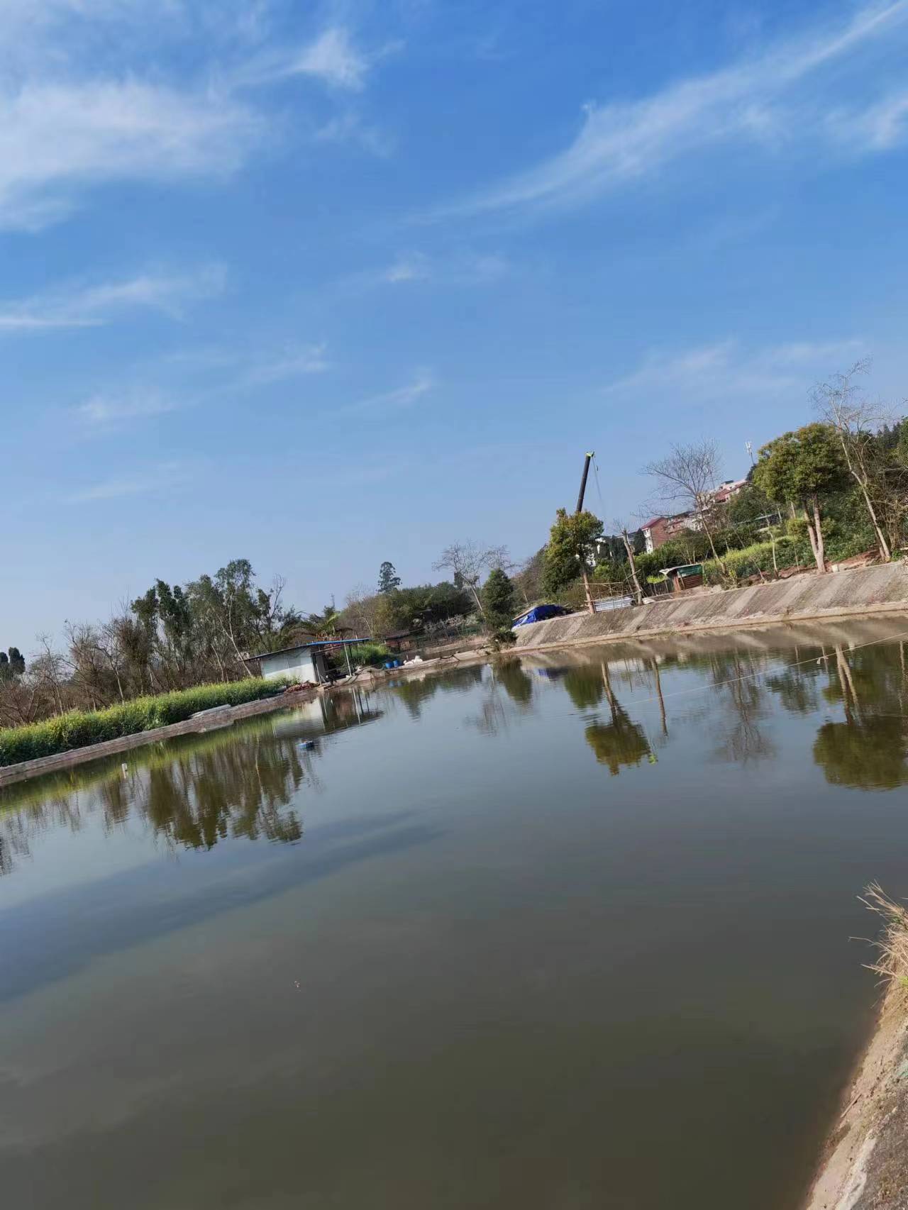 陈五哥休闲垂钓