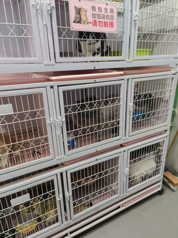 爱汪喵宠物店