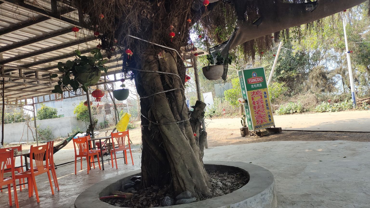 龙门榕树农家乐