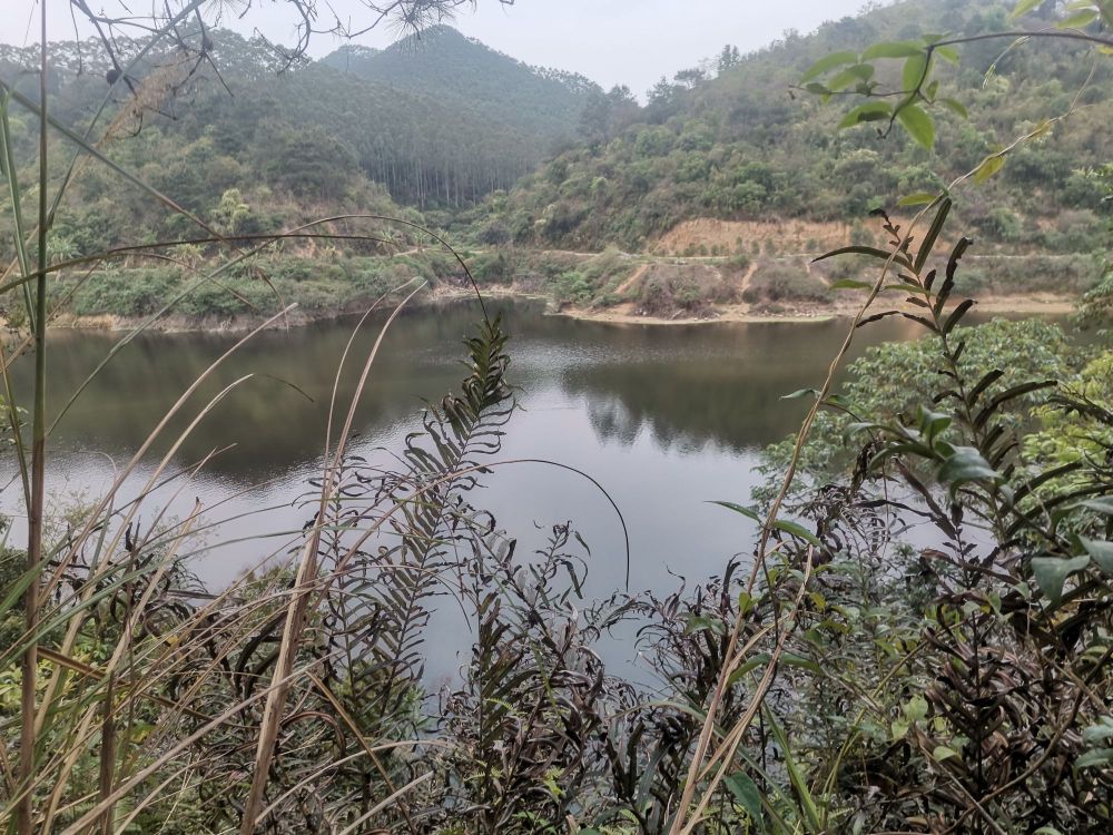 食田水库