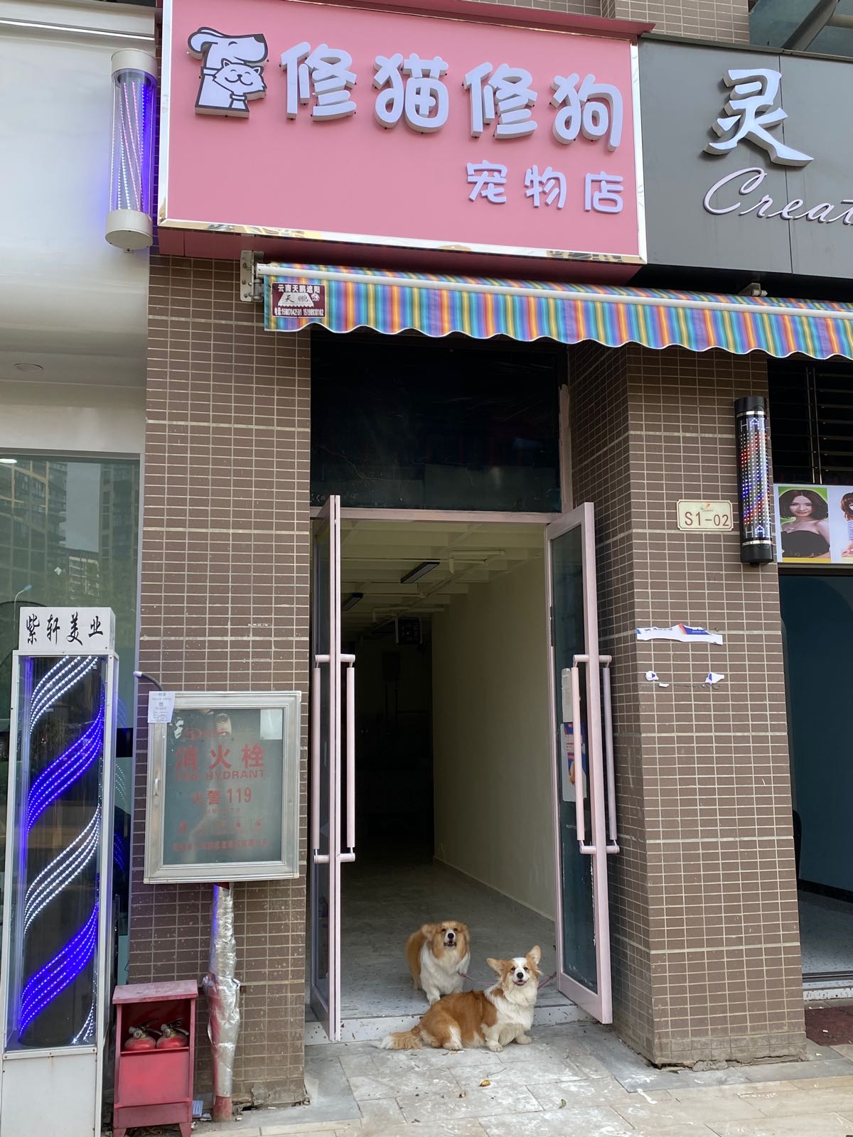 修猫修狗宠物店店