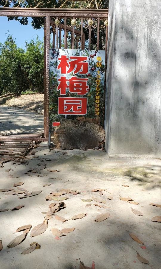 刘氏杨梅采摘园