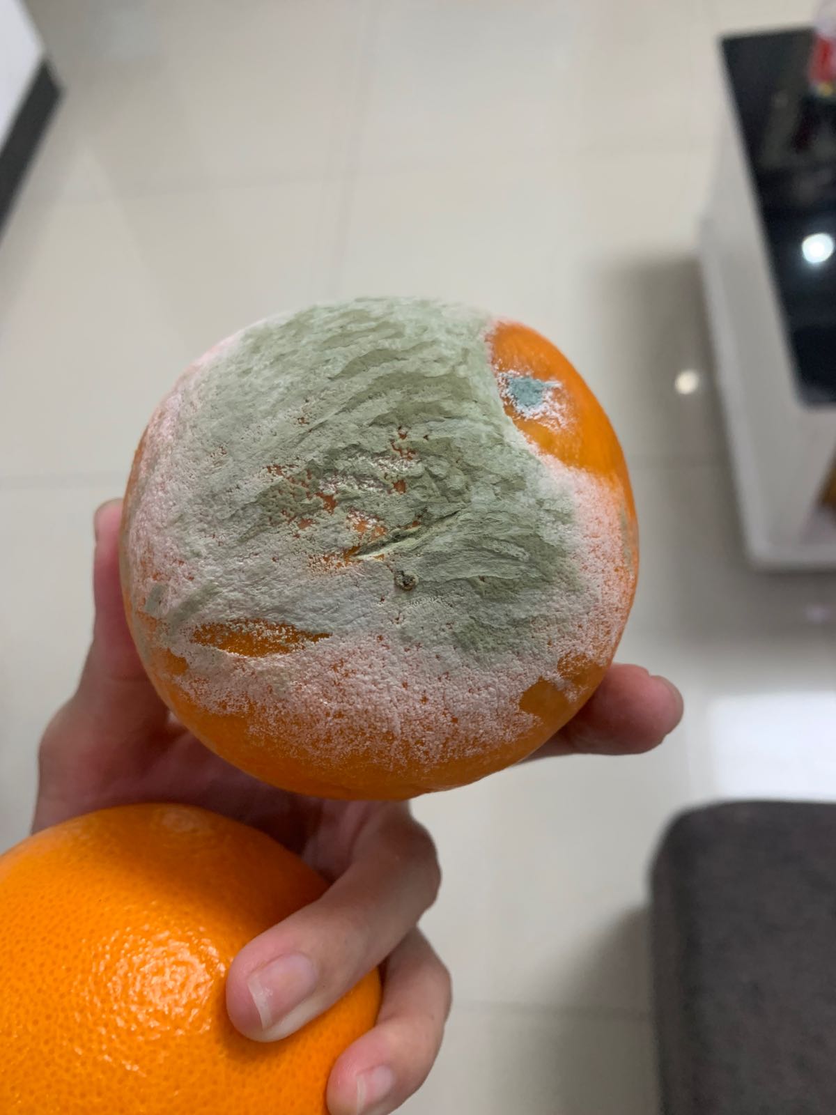 微行鲜果批发行(博览店)