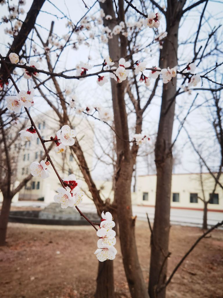 北京市昌平区汇贤学校