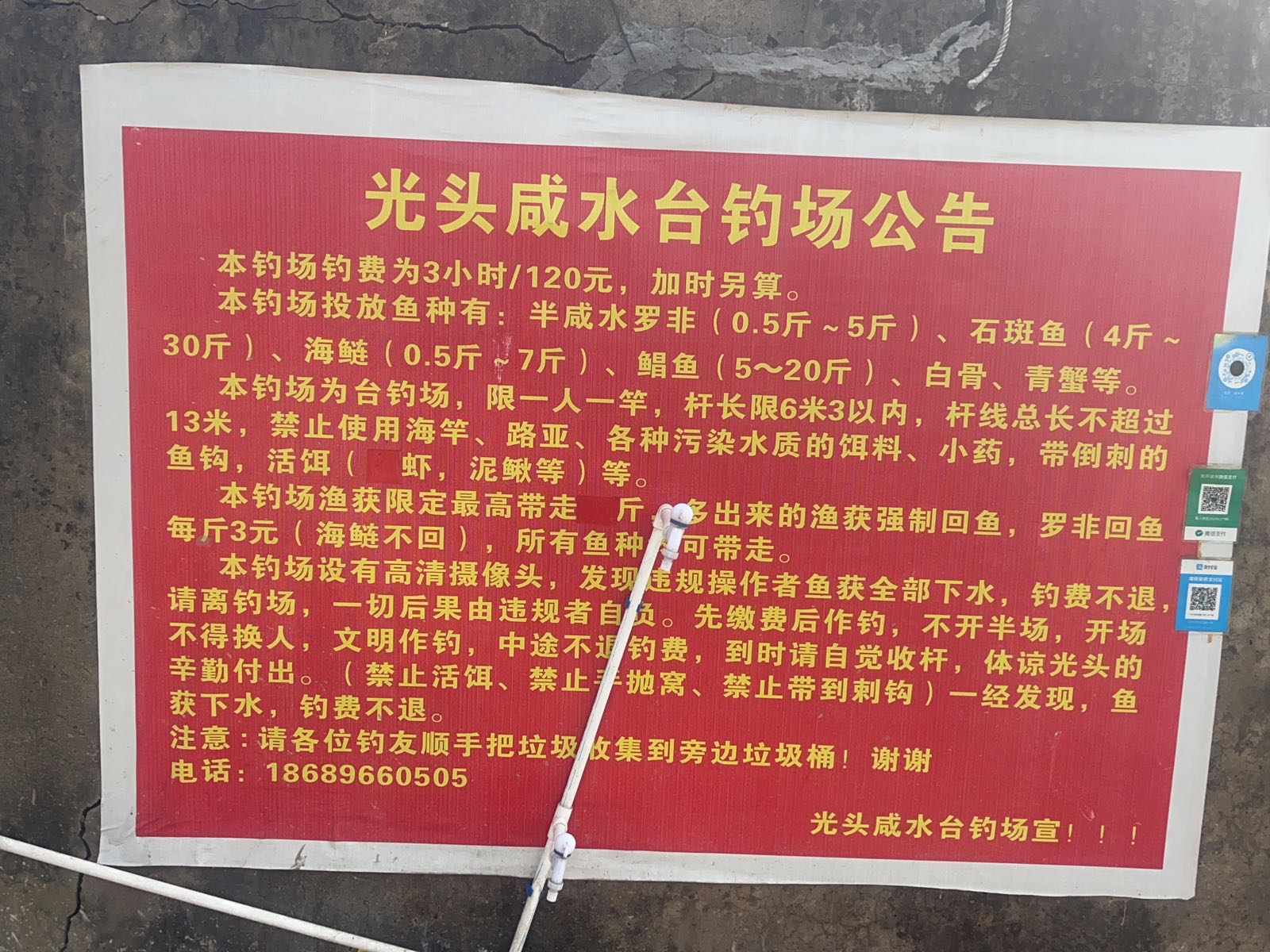 光头咸水台钓基地