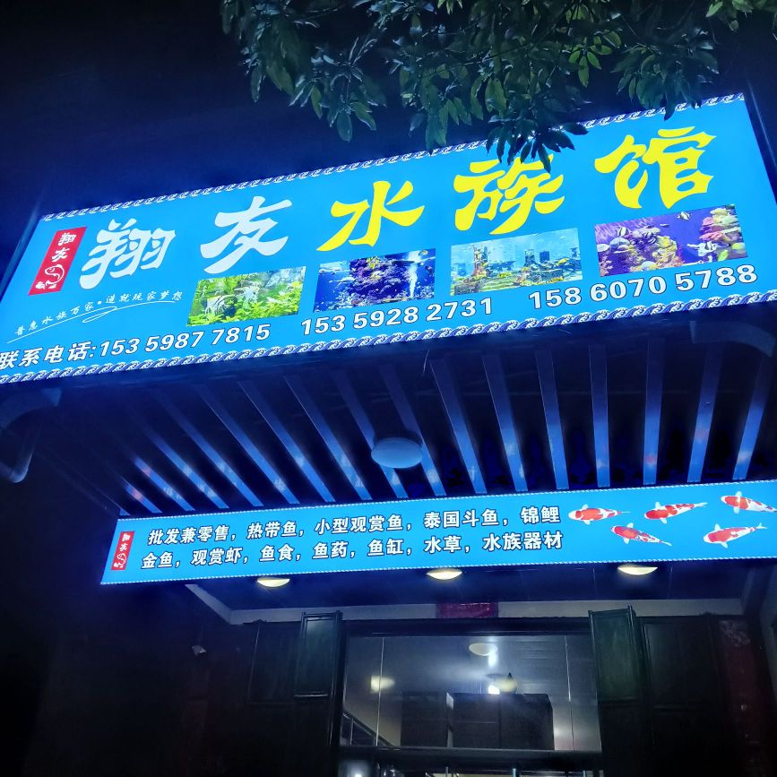 友煤刮帕翔水族馆