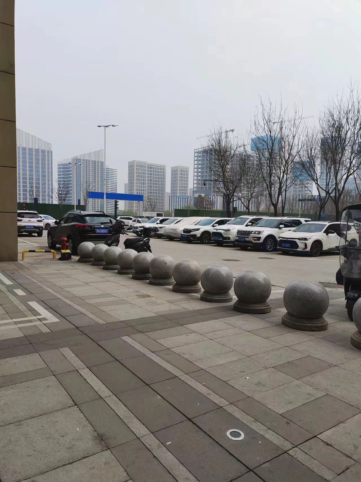 飞鲨渔具店