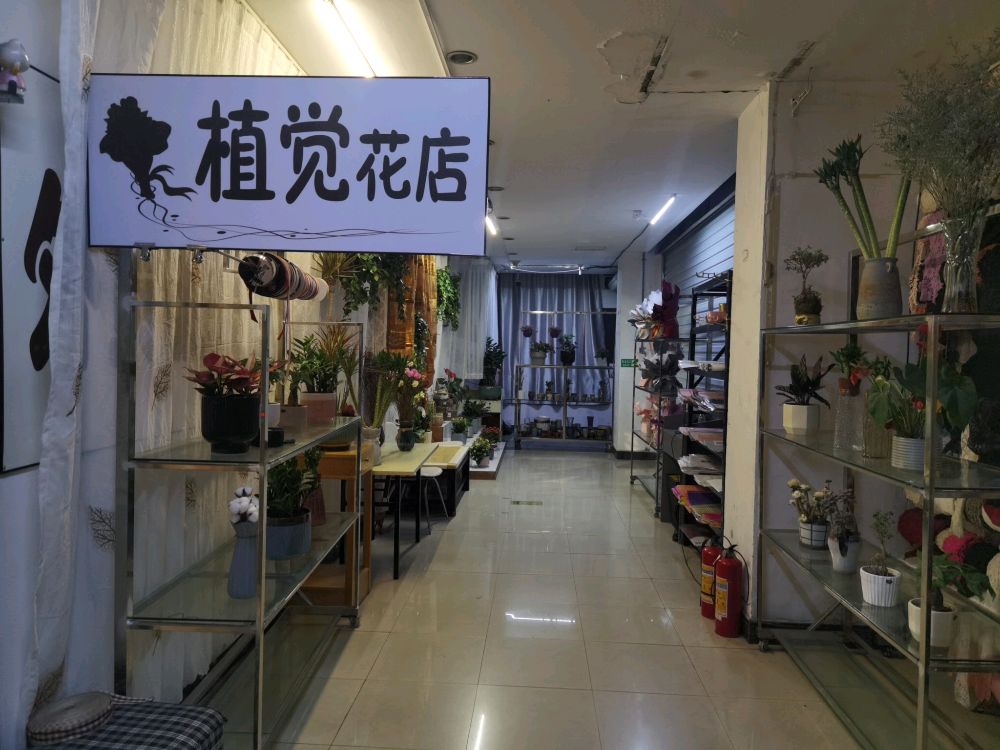 植觉花店