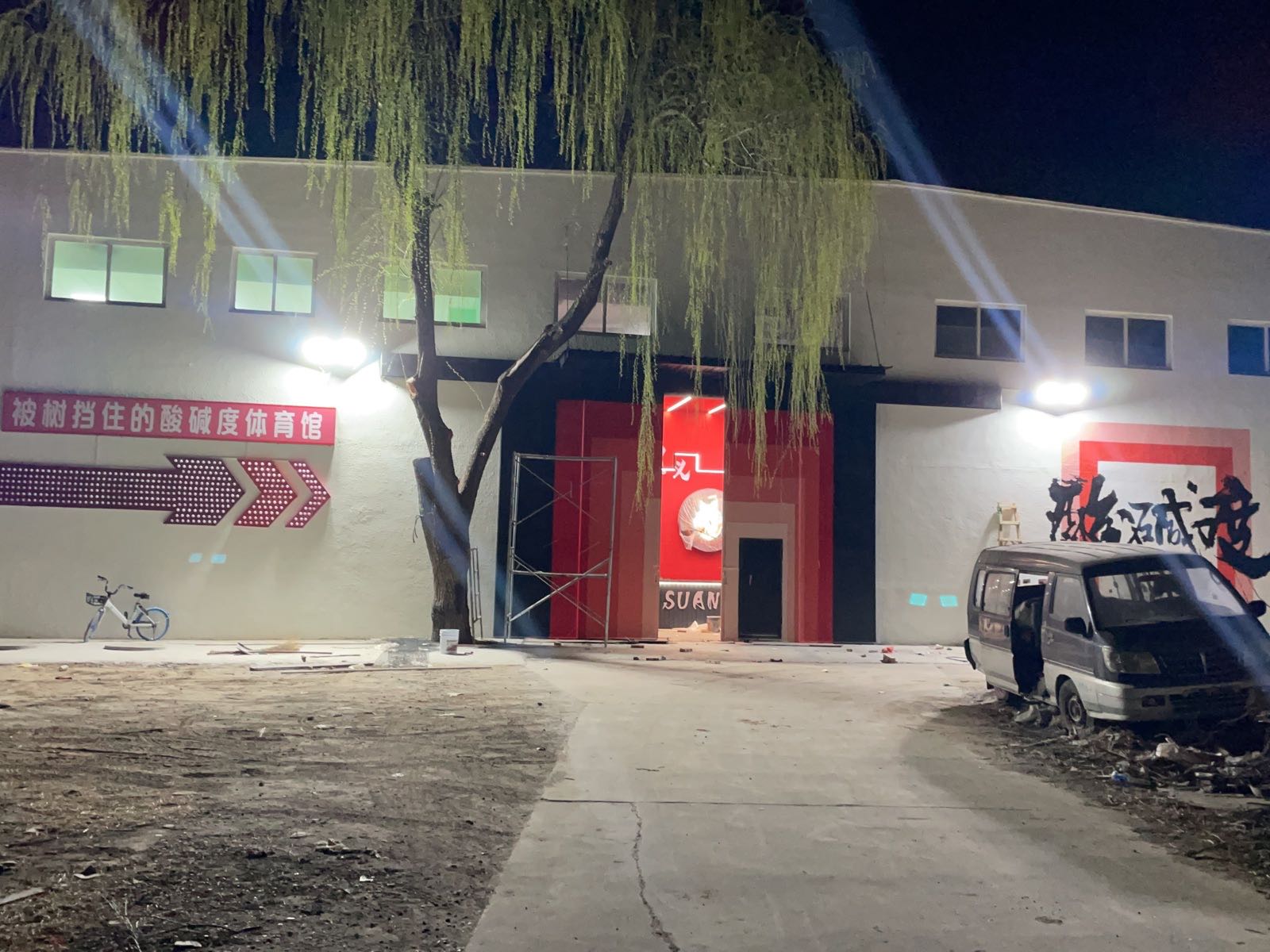 被树挡住的酸碱度体育馆