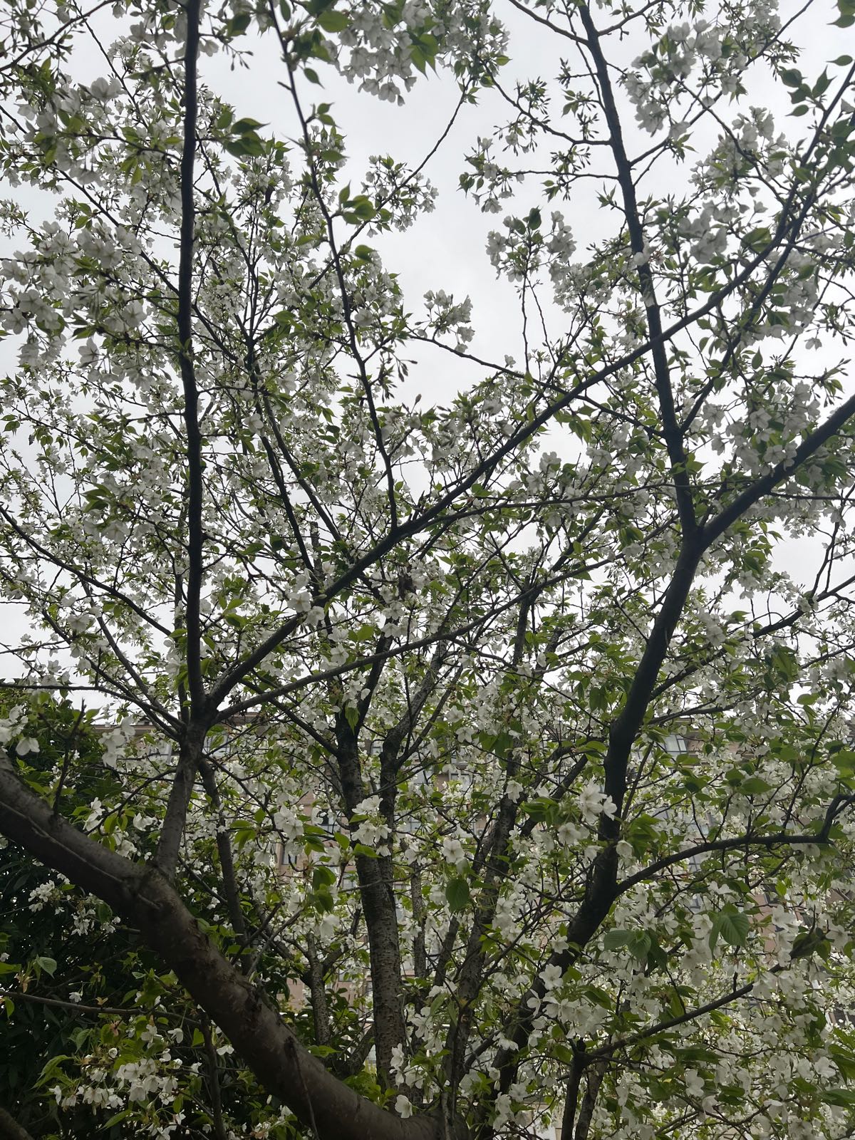 黔东南康福护理院
