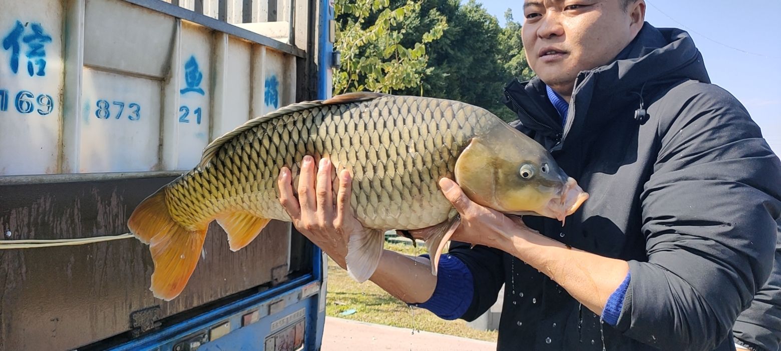 东莞市谢岗镇碧河原生态钓场