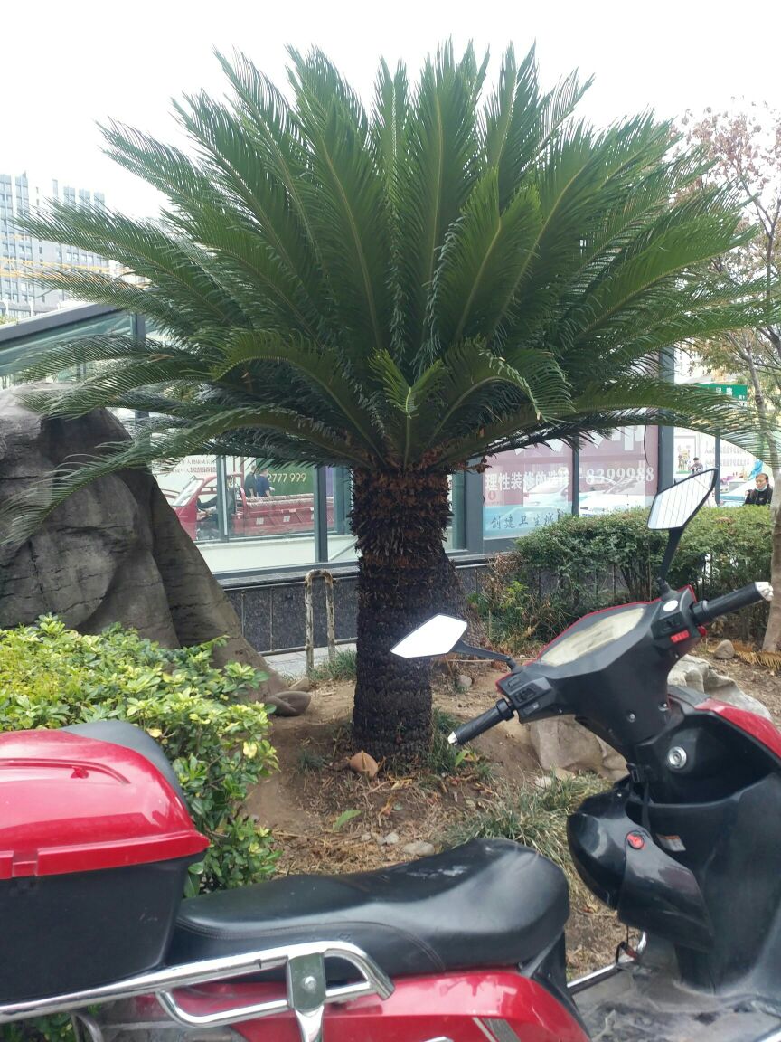 欣苗苗便利店(子午路店)