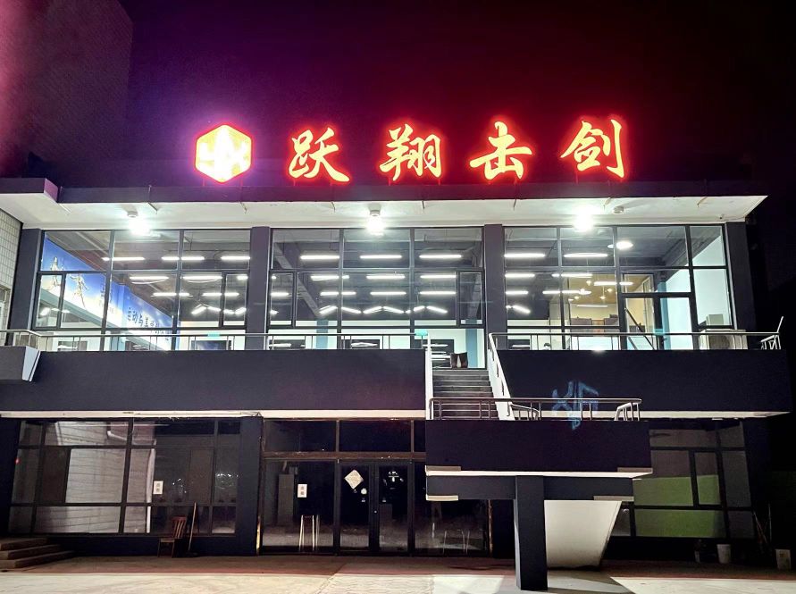 跃翔击剑