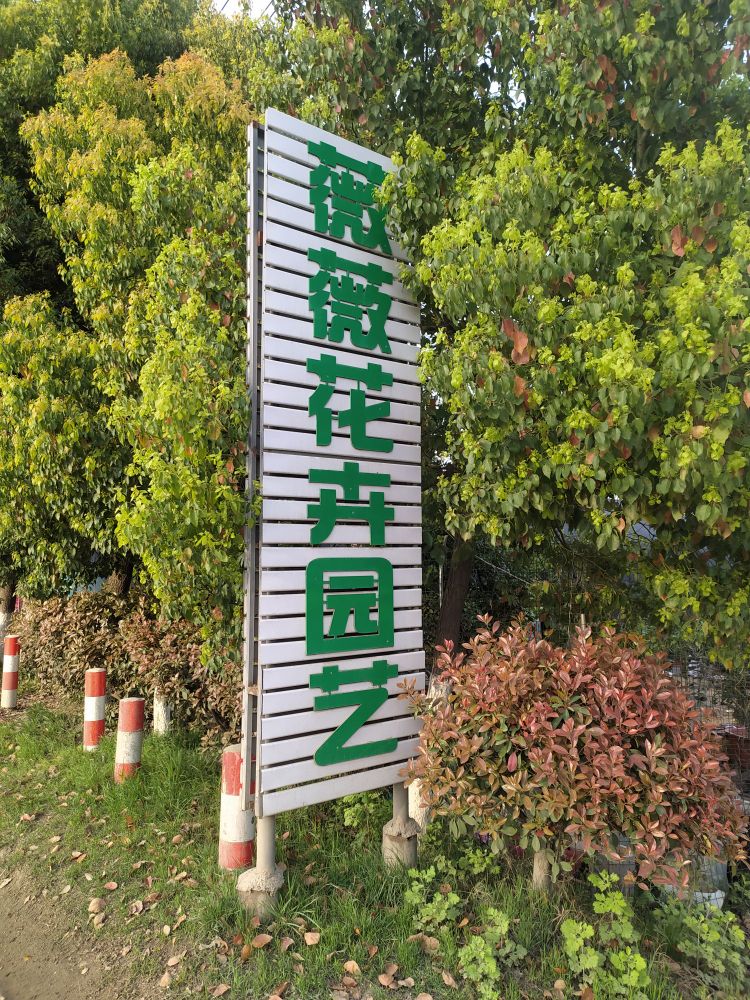 薇薇花卉园艺中心(沙河路店)