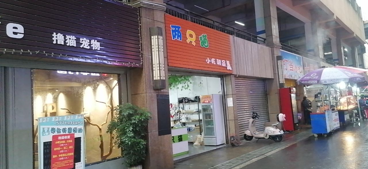 517撸猫宠物店