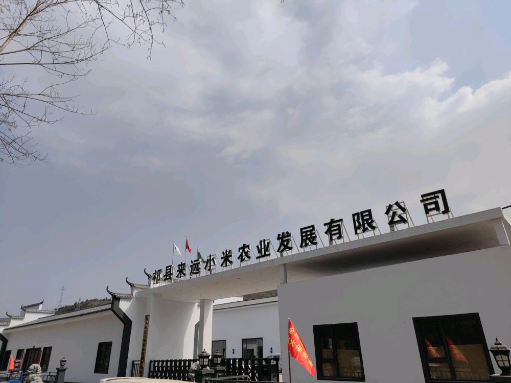 祁县来远小米农业发展优先公司