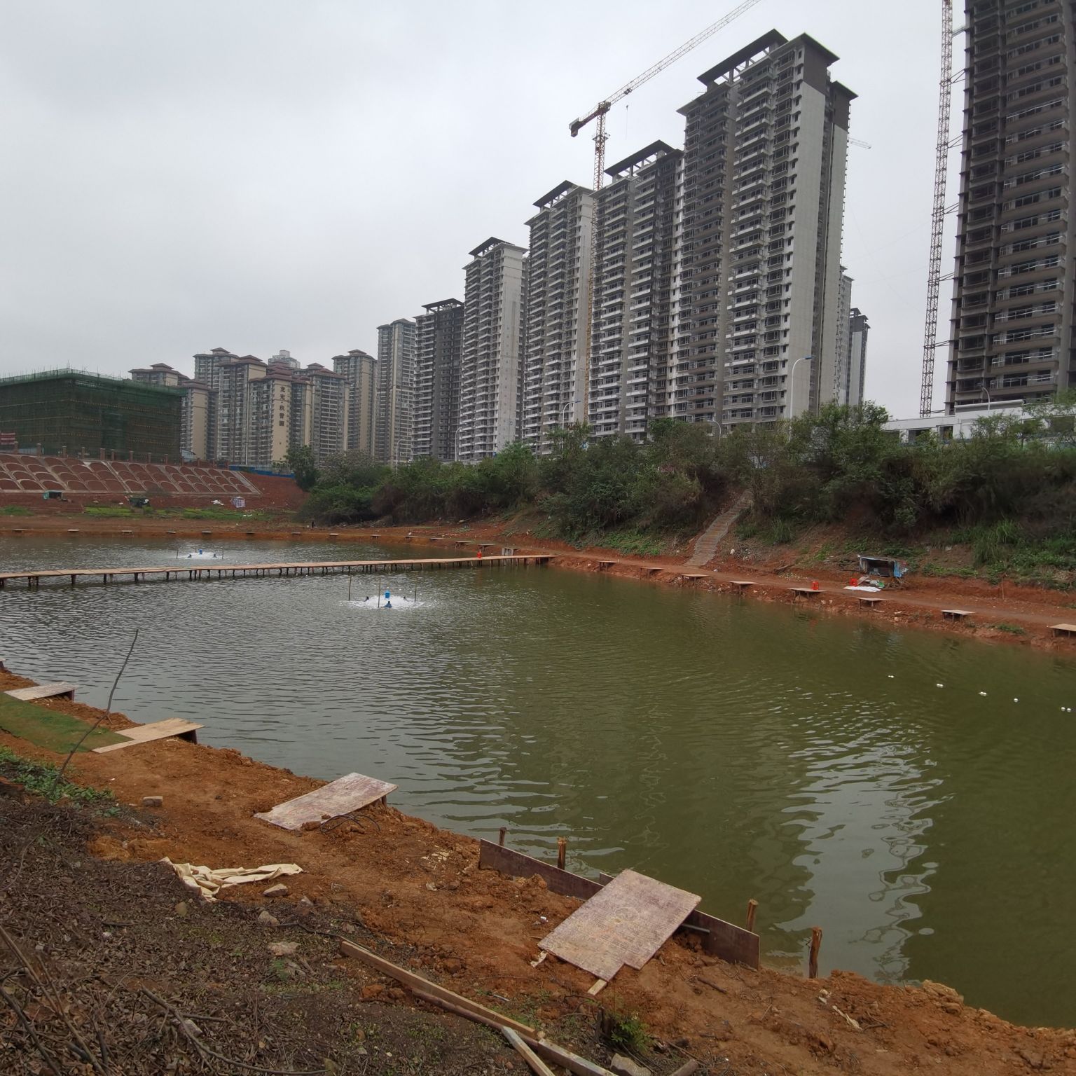 花坛仁休闲钓鱼场