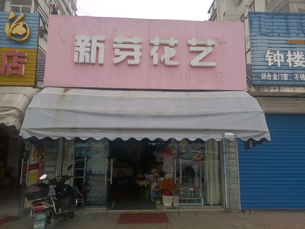 鲜花使者(新芽花艺)