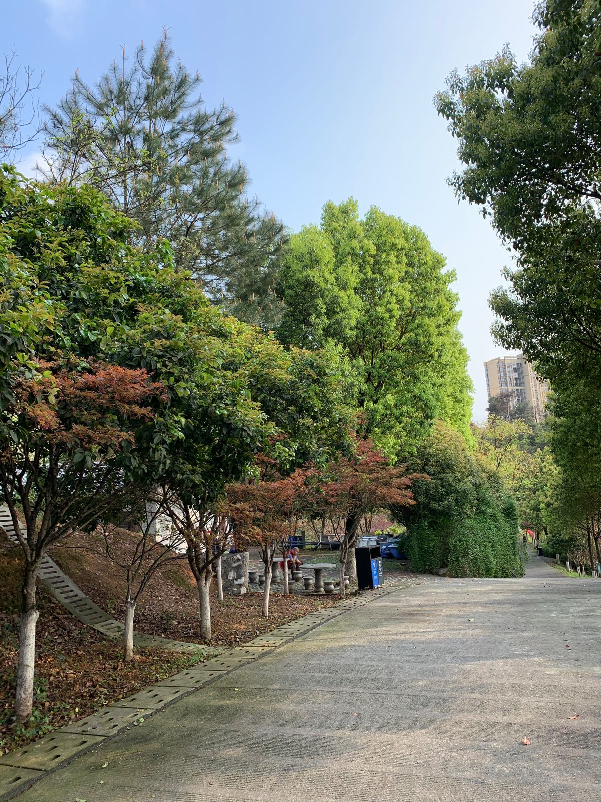 木子岭公园