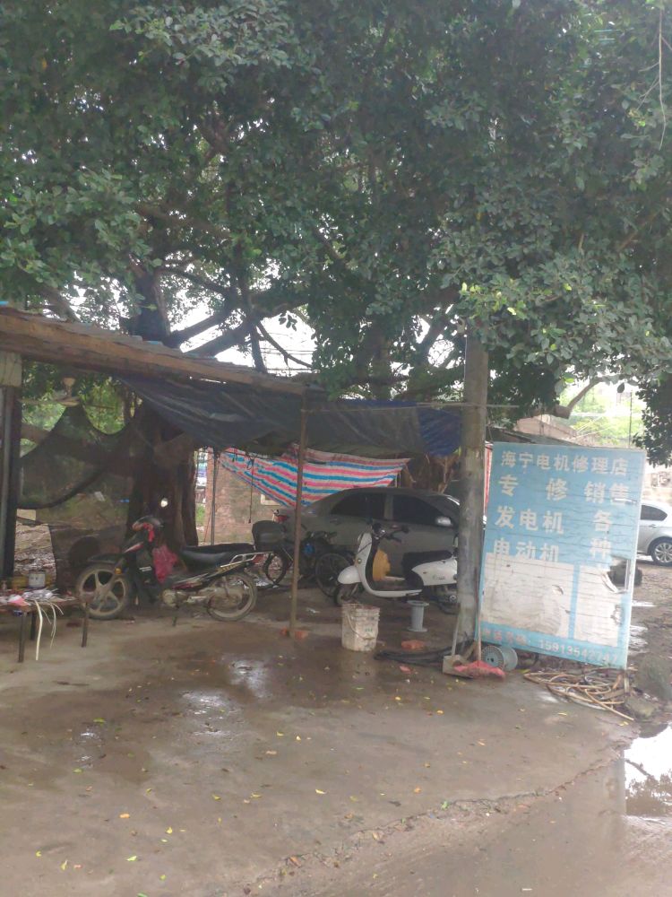 湛江市经济开发区东海霞姐电机修理店