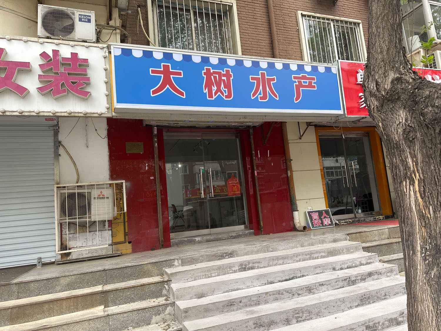 大树水产