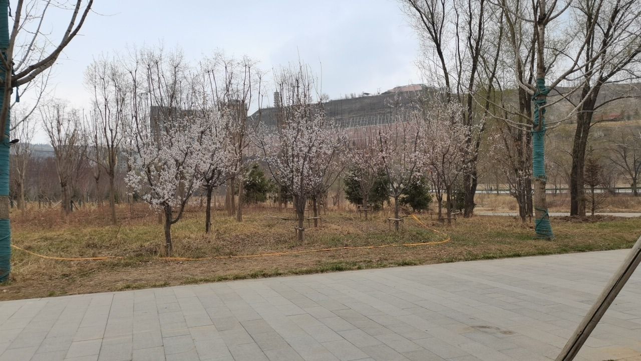 麻荒滩湿地体育公园