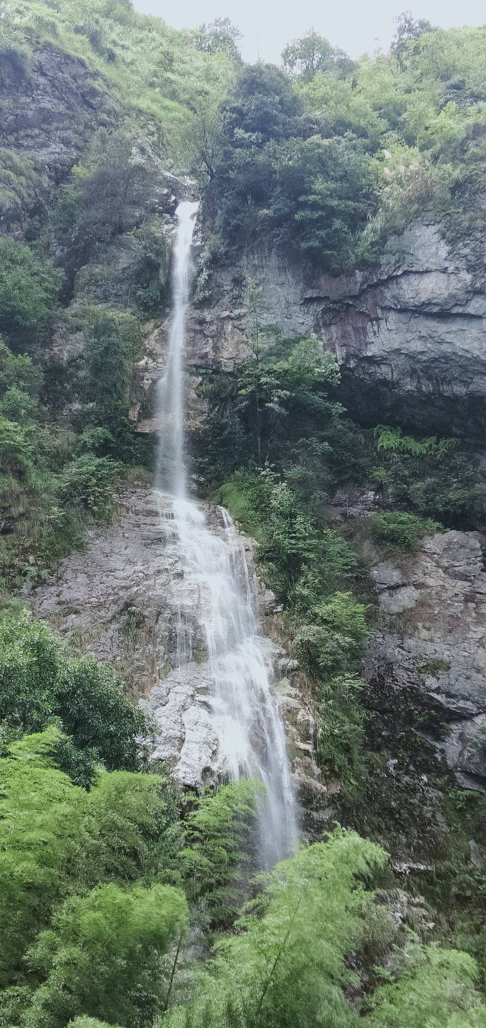 茶花溪景区