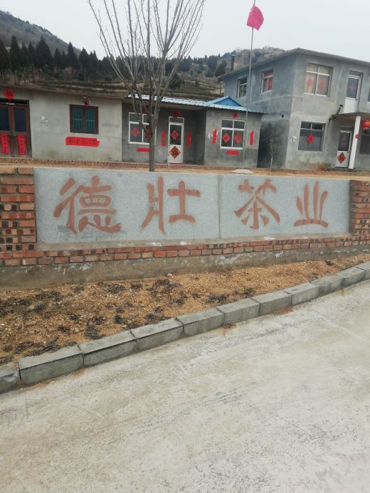 德壮茶业
