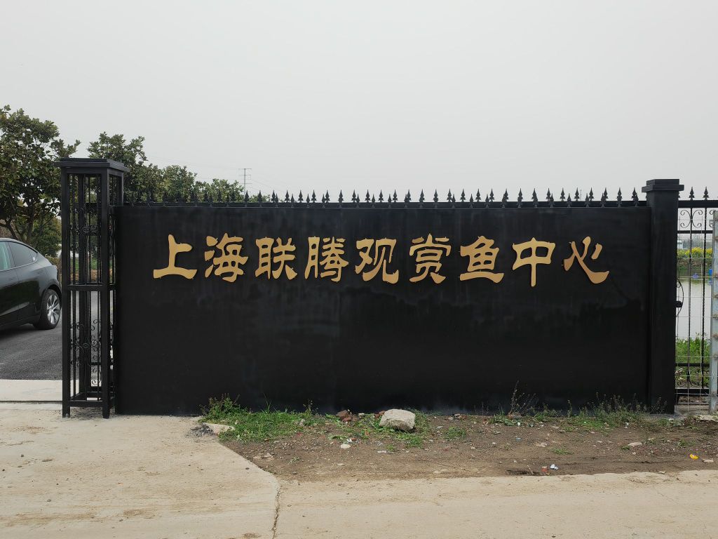 上海联腾观赏育中心