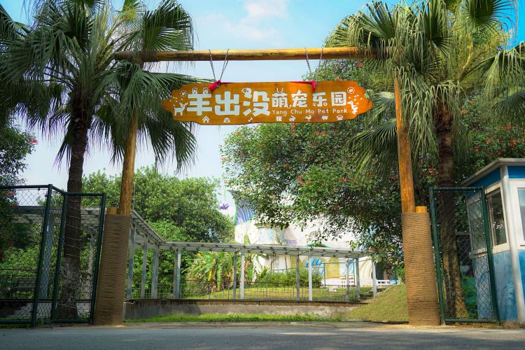 羊出没萌宠乐园