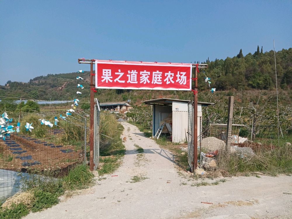 西山区果之道水果种植园