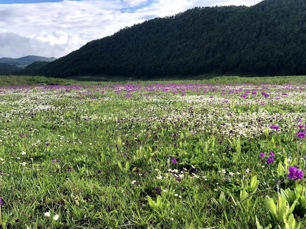 丽江市玉龙纳西族自治县