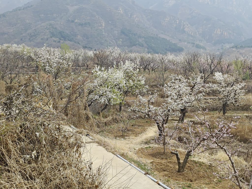 东四道岭村