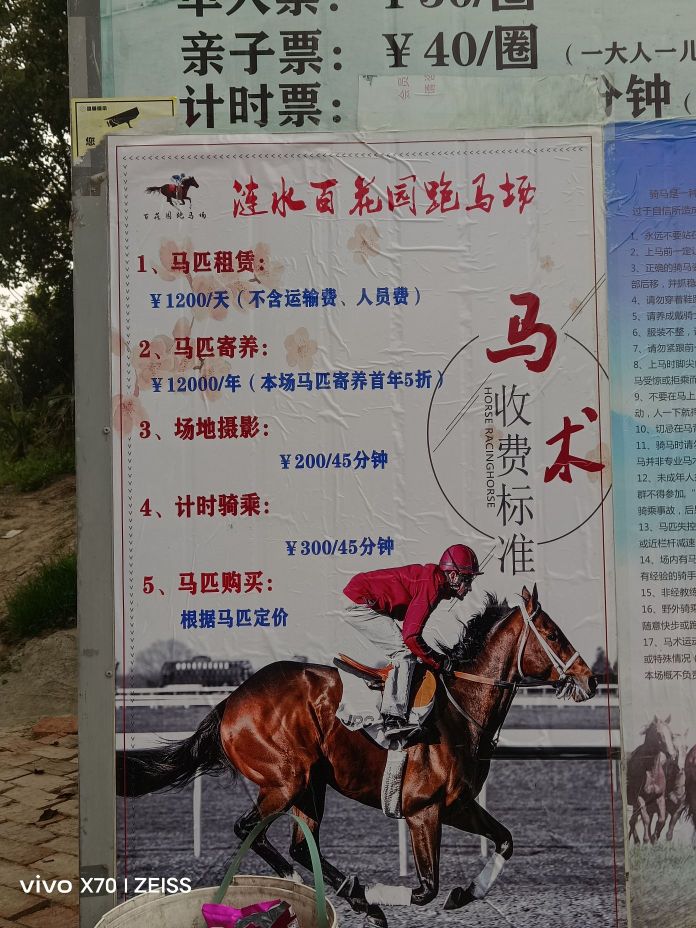驭关马术