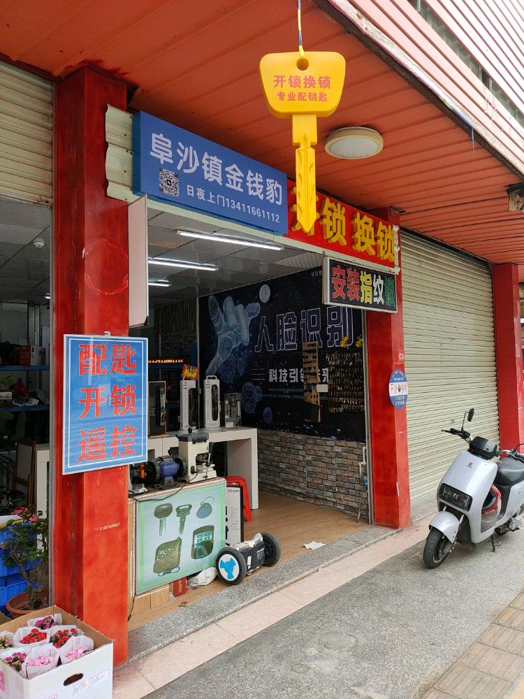 阜沙镇金钱豹开锁换锁