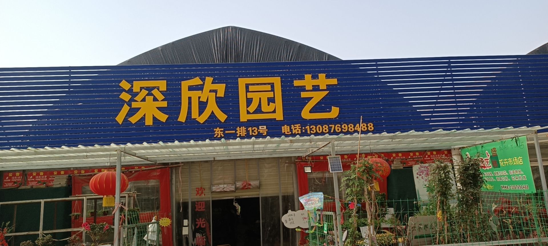 深欣园艺(盛林花卉市场店)