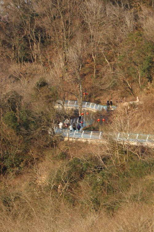 东海云廊绿道(东山段)