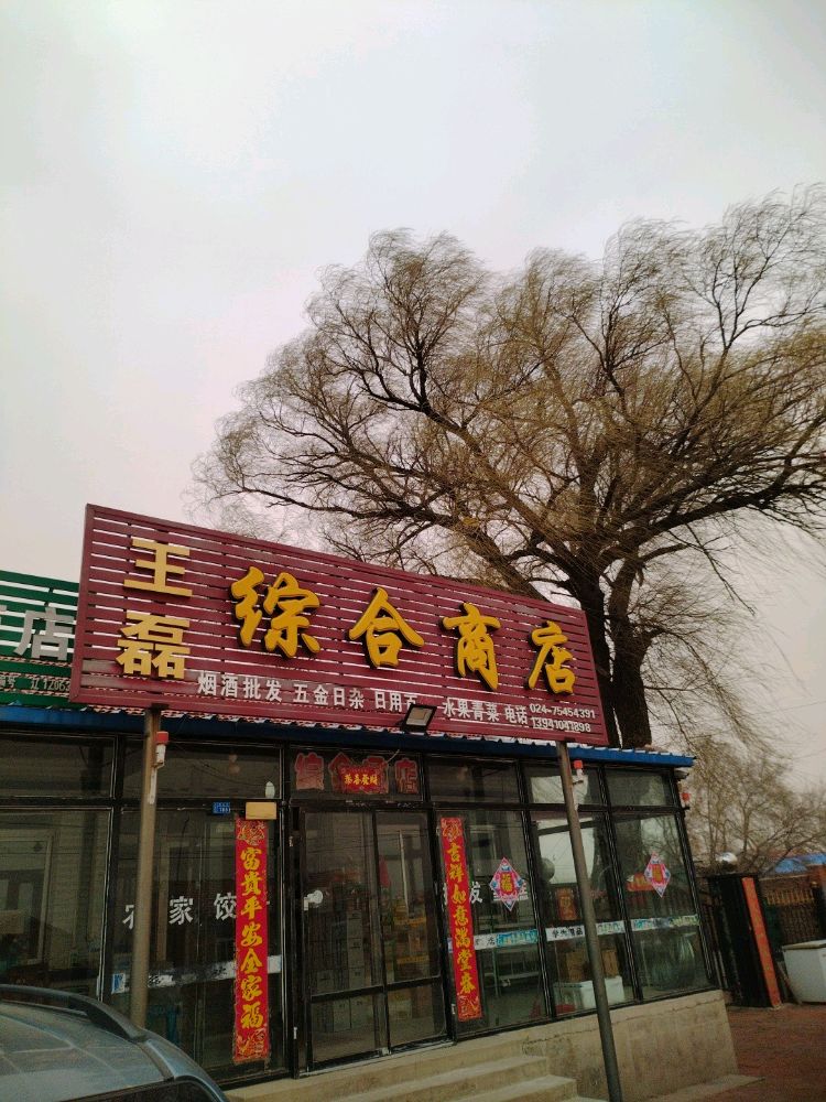 辽宁省铁岭市古榆树镇曙光村王磊综合商店